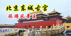 尤物白虎自慰出水中国北京-东城古宫旅游风景区